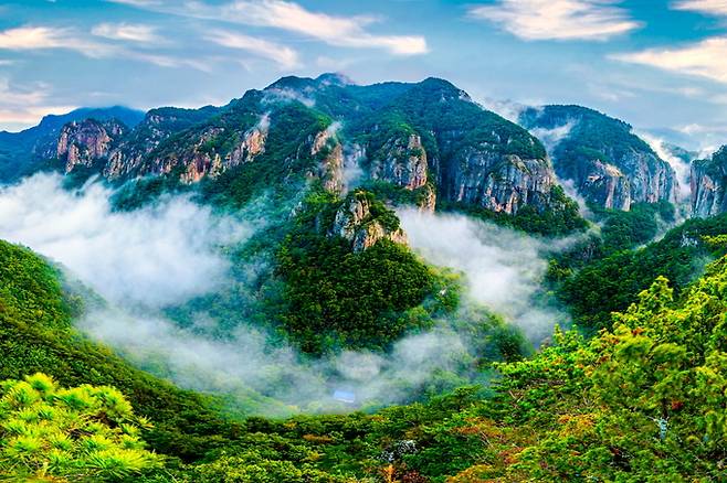 ▲ 주왕산에 운무가 드리우면 한 폭의 그림이 만들어진다.