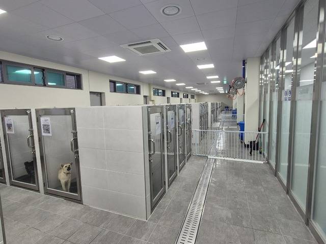 구미시 옥성면에 있는 구미 애니컬케어센터 내부 모습. 구미시 제공