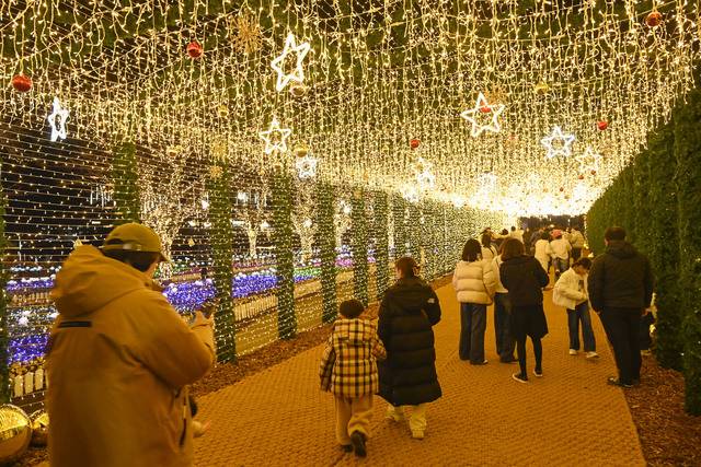송해공원 별빛 산타 경관 조명길을 주민들이 걷고 있다. 달성군 제공