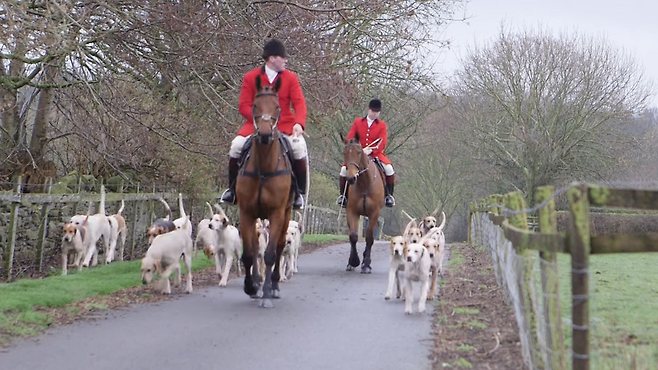 트레일 헌팅을 시연하는 모습. 유튜브 British Hound Sports Association 갈무리