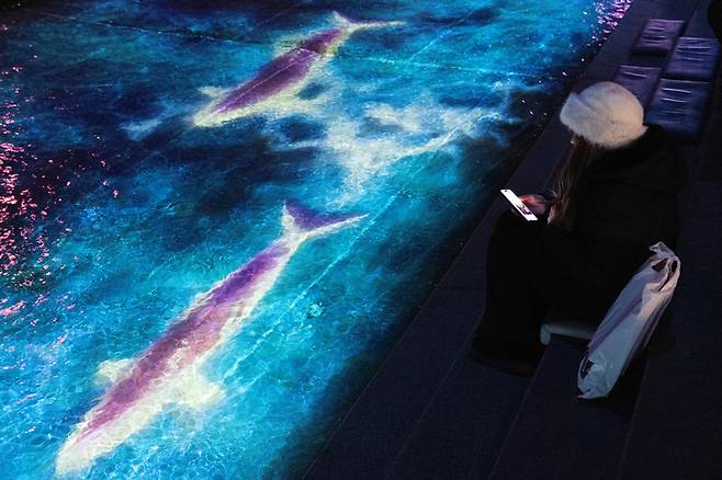 청계 소울 오션을 관람하는 관광객/사진=서울관광재단 제공