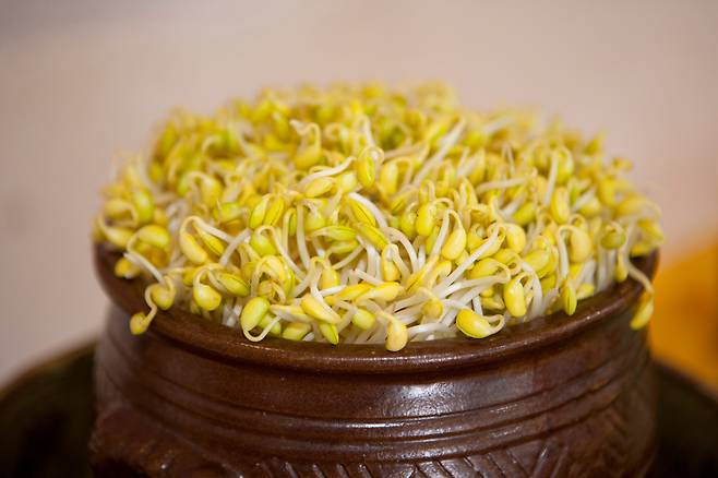 콩나물. 클립아트코리아 제공