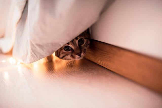 게티이미지뱅크