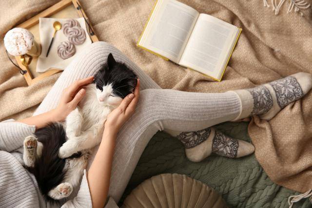 게티이미지뱅크