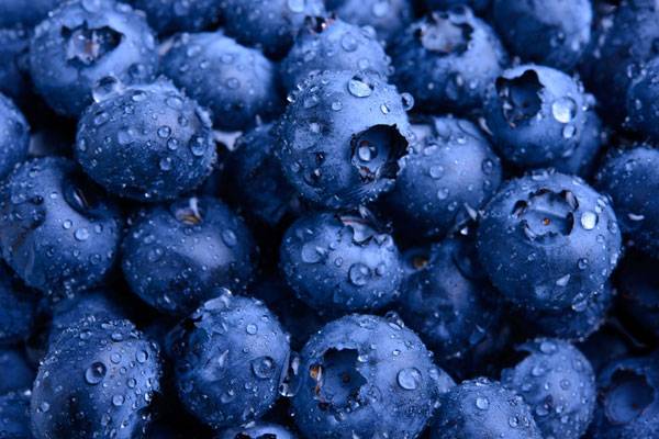 사진=클립아트코리아