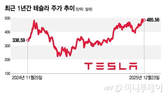 최근 1년간 테슬라 주가 추이/그래픽=김지영