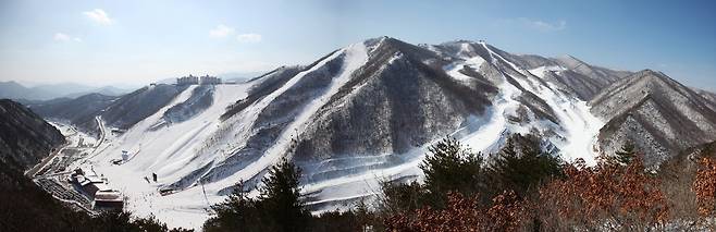 강원지역 스키장 [한국스키장경영협회 제공.재판매 및 DB 금지]