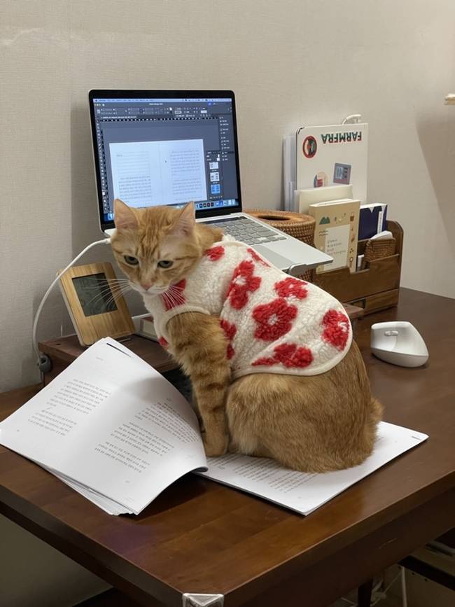 재출간을 쉬울 거라는 건 나만의 착각이었다. /박수진