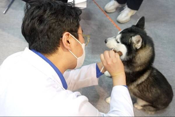 주식회사 피터페터가 대만 현지 파트너와 첫 해외 서비스 공급 계약을 체결하고 본격적인 해외 시장 진출에 나선다. (사진 제공=JDC)