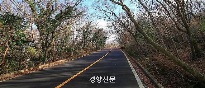한라산을 횡단해 제주시와 서귀포시를  연결하는 5·16로. 제주관광공사 제공