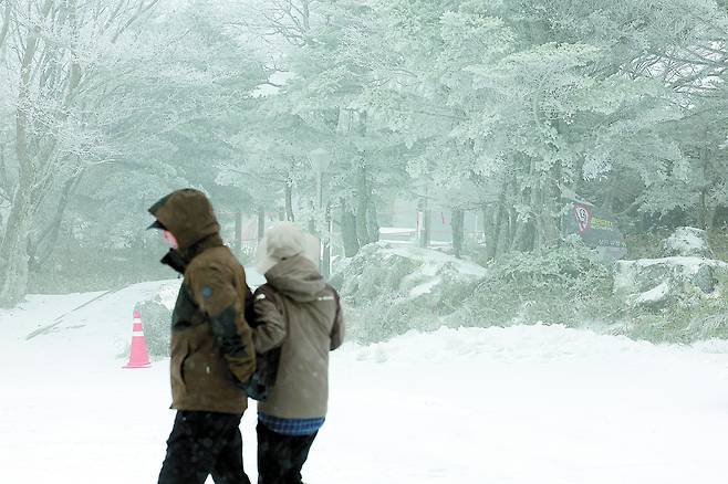 Heavy snow is seen falling on Mount Halla in Jeju Island on Dec. 3. [YONHAP]