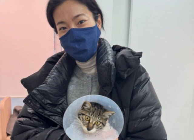 배우 옥자연이 최근 길고양이를 입양했다./수의사 윤샘 소셜미디어