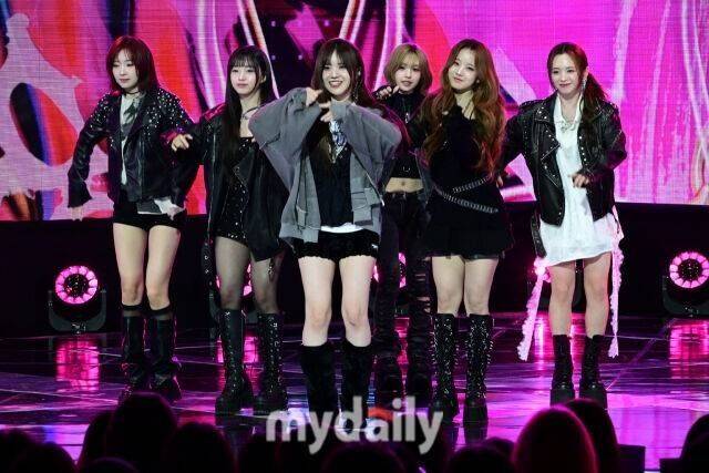 메이딘 / 마이데일리