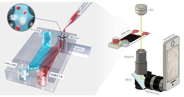 [서울=뉴시스] 스마트폰 기반 면역세포 분석 기술 개발 모식도. (사진=한양대 제공) 2025.12.26. photo@newsis.com *재판매 및 DB 금지