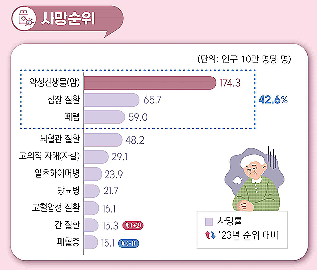 ‘2024년 사망원인통계 결과’. 국가데이터처