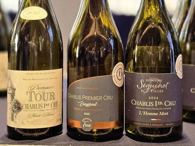 샤블리 프리미에 크뤼 와인들. 최현태 기자