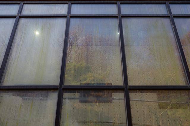 지난 19일 전남 장성군 내장산국립공원 백암탐방안내소 외벽 유리 모습. 조류 충돌 방지 필름을 규정인 '외부 부착'이 아닌 안쪽 면에 시공했다. 시공 편의만 좇아 내부에 부착할 경우, 바깥 유리면이 거울처럼 주변 풍경을 그대로 반사해 스티커 패턴이 보이지 않게 된다. 예산은 썼지만 정작 효과는 무력화된 사례다. 장성=하상윤 기자