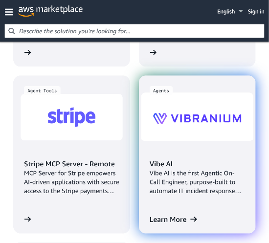 아마존 AWS 마켓플레이스에 적용되기 시작한 바이브AI (바이브래니움랩스 제공)