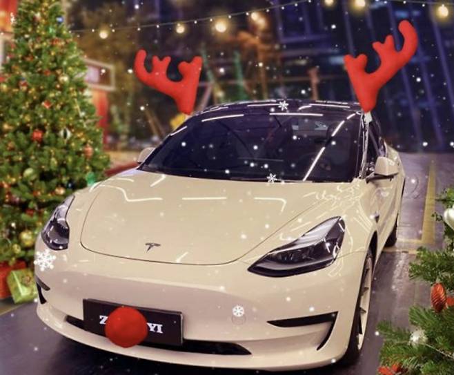 판매 사이트에 게시된 한 루돌카 모습. 번호판 부분에 장식품이 부착돼 있다./사진=판매 사이트 캡처.