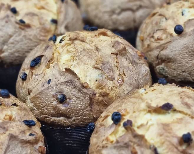 리틀앤머치는 파네토네 전문 베이커리 겸 카페다. 사진은 클래식 파네토네. /사진=다이어리알