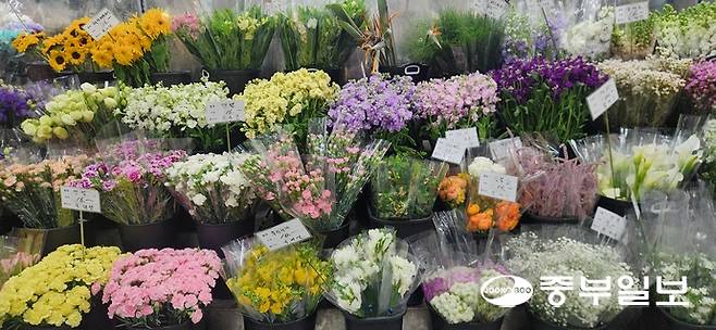 지난 27일 고양시 일산서구 한국화훼농협 케이플라워 대화점에 프리지아, 안개꽃, 천일홍 등 꽃다발용 인기 품목 절화가 진열돼 있다. 신연경기자