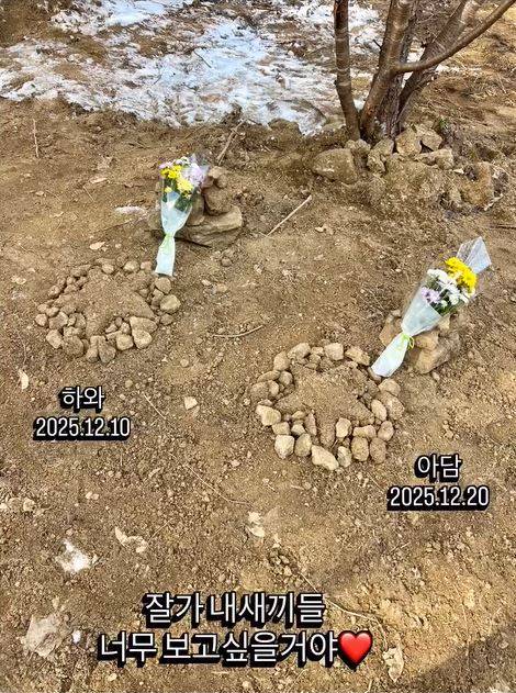 사진= 최여진 SNS