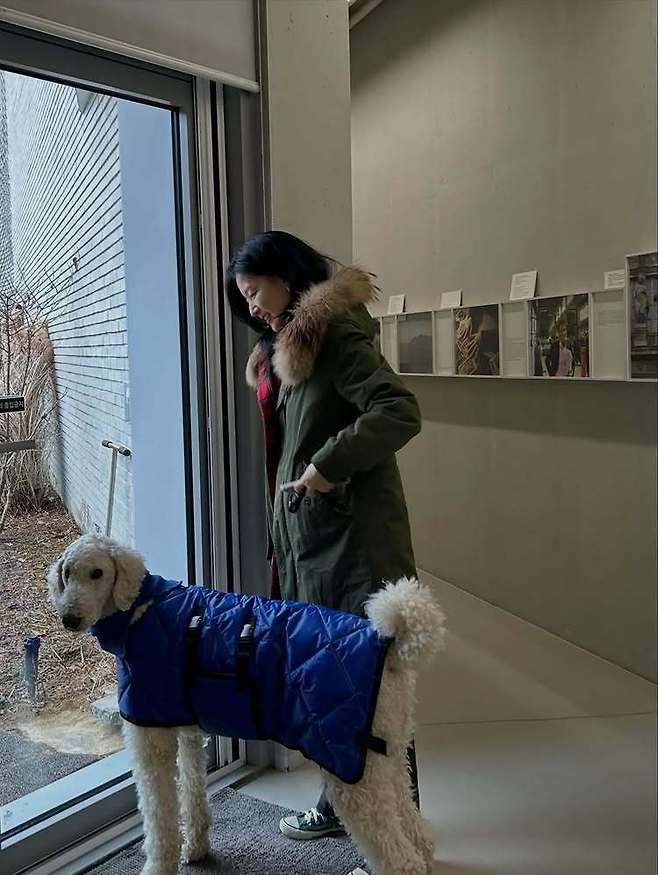 이영애 소셜미디어