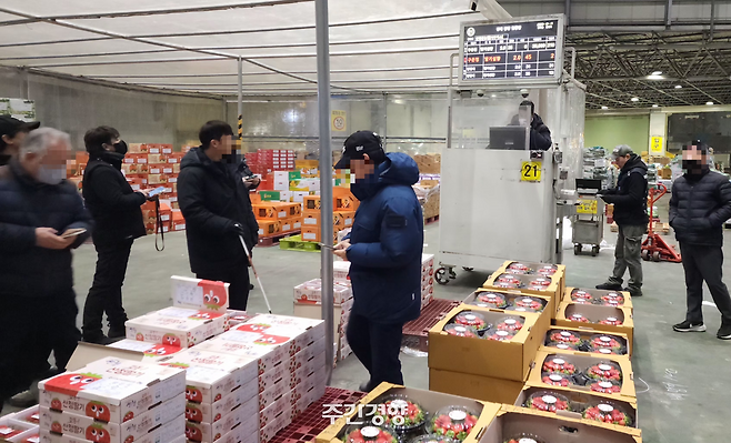 지난 12월 17일 새벽 서울 강서시장 내 강서청과 경매장에서 산청 딸기 경매가 이뤄지고 있다. 이재덕 기자