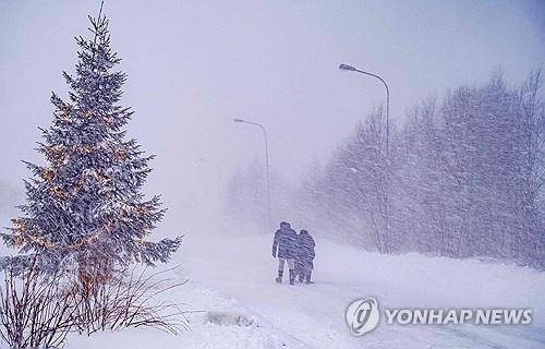 눈폭풍 몰아친 스웨덴 [AFP=연합뉴스]