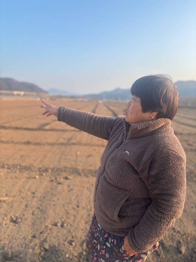 2025년 12월17일 불바람이 불어 다 망가져버린 비닐하우스를 모두 철거한 자리에서 안동 주민 강순남씨가 이야기하고 있다. 박수진 기자