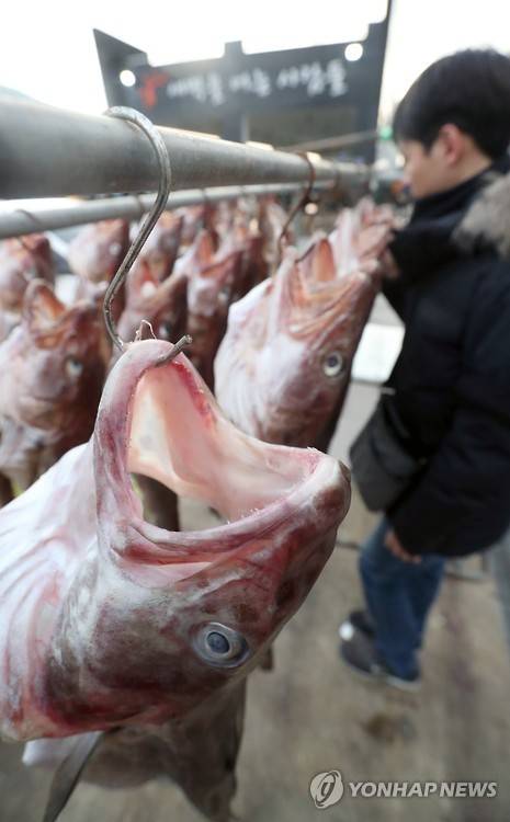 겨울 대구 [연합뉴스 자료 사진]