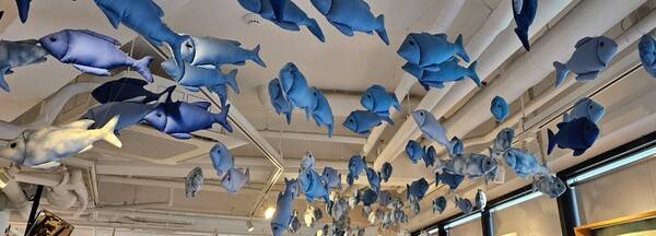 진주어린이박물관에 헌옷을 재활용해 만든 물고기.