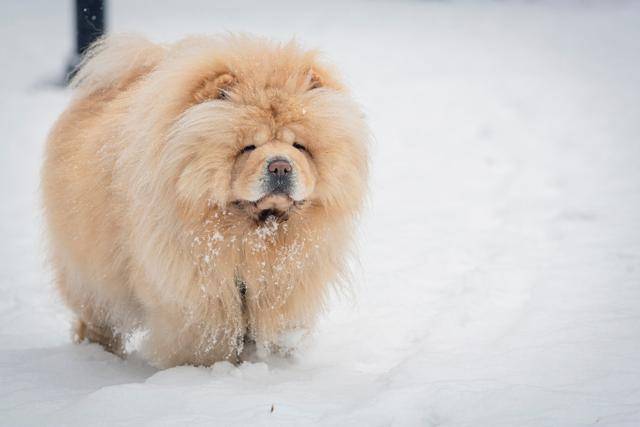 게티이미지뱅크