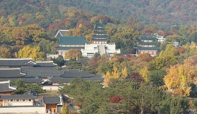 This photo taken on Nov. 7 shows autumn scenery at the Gyeongbok Palace in Seoul. [XINHUA/YAO QILIN]