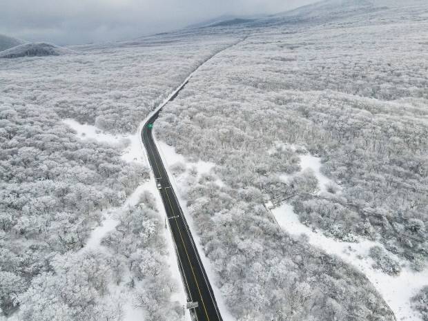 1100도로 설경-제주시와 서귀포시 중문동을 잇는 1100도로는 1100고지를 정점으로 설경을 감상하기에 좋다.