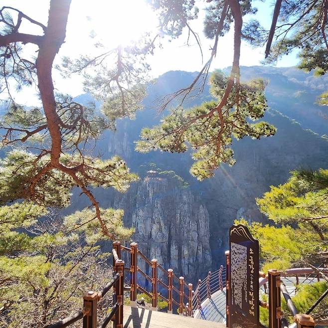 소금강 전망대 풍경
