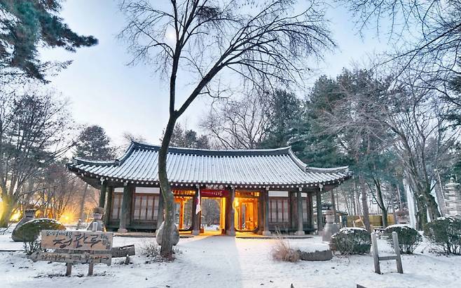 Nami Island in Gapyeong, Gyeonggi Province (Klook)