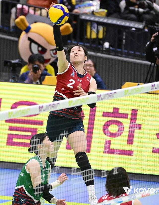 현대건설 이채영./KOVO