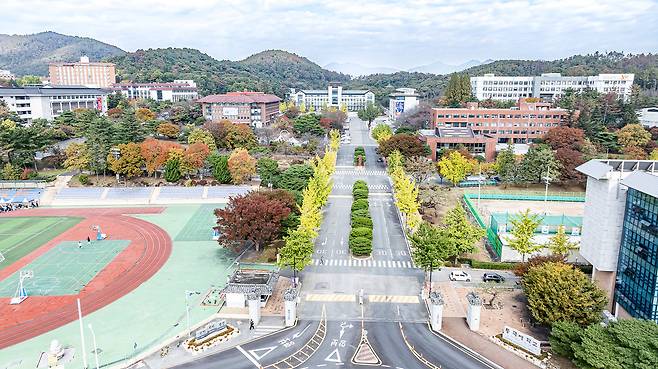 동국대학교 WISE캠퍼스 전경. /WISE캠퍼스 제공