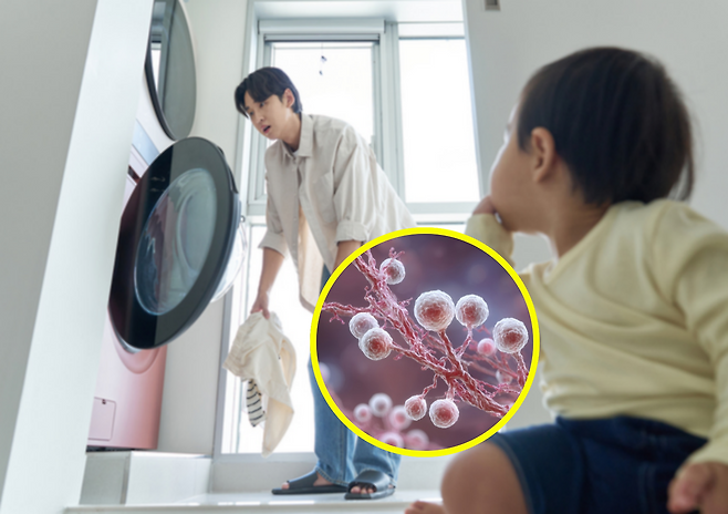 사진=게티이미지뱅크.