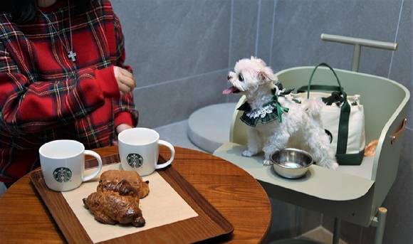 The Starbucks Guri Galmae drive-through store, a pet-friendly location (Starbucks Korea)