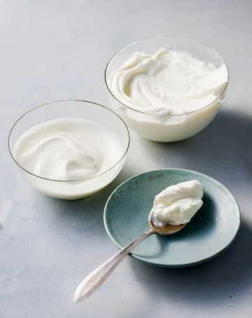 그릭요거트 자료사진