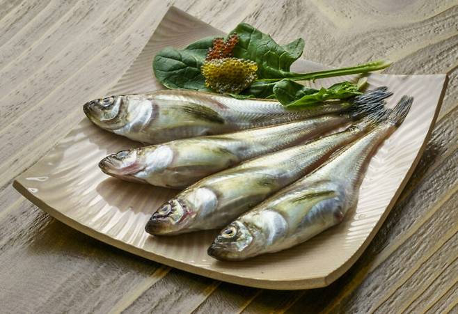 도루묵. 사진=클립아트코리아