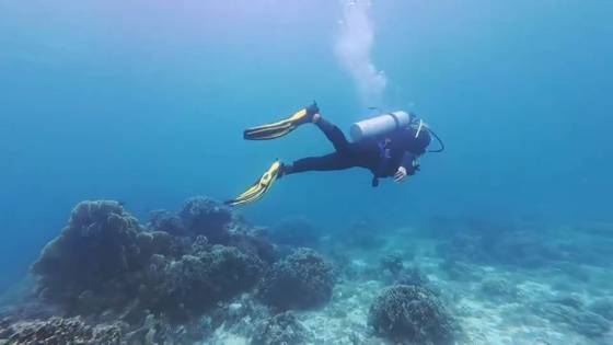 은퇴 후 스쿠버다이빙을 배운 박경식씨가 바닷속을 유영하고 있다. 박경식 제공