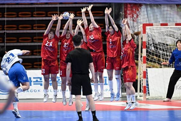 2024-2025시즌 H리그 인천시청. /한국핸드볼연맹 제공