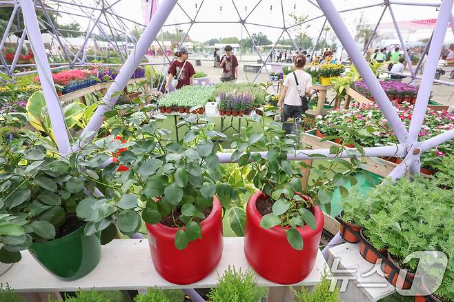 (사진은 기사 내용과 무관함) / 뉴스1 ⓒ News1