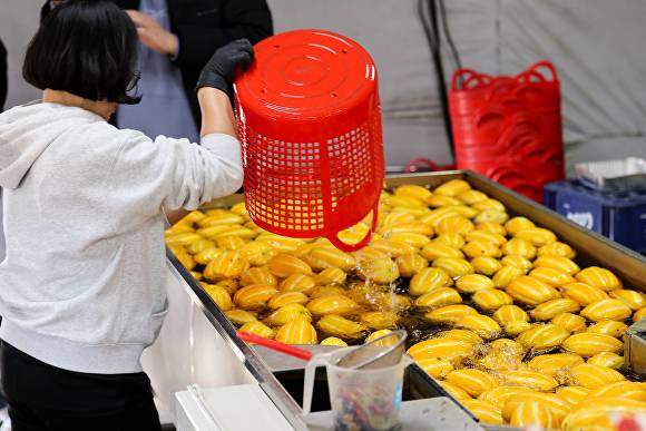 첫 출하 성주참외 [사진=성주군]