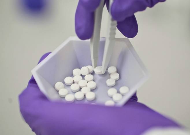 비만 치료제 '먹는 위고비'/사진=노보 노디스크