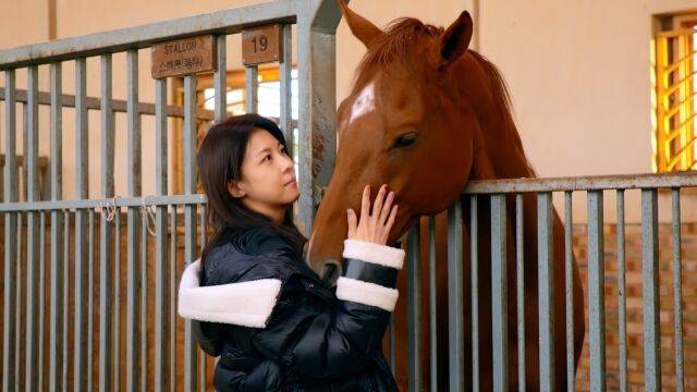 '당일배송 우리집' 마방 방문기 / JTBC