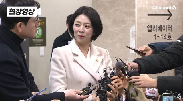 배현진 의원./채널A